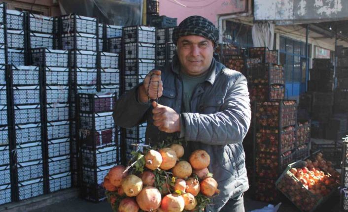 Kendine has lezzetiyle bilinen "Zivzik" narı kilosu 30 liradan satılıyor