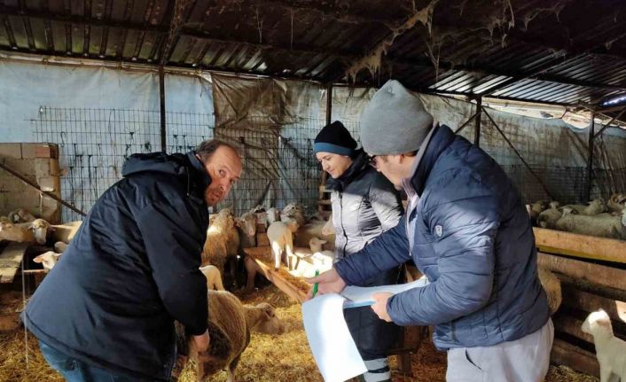 Kırklareli’de küçük ve büyükbaş hayvanların kontrolleri yapıldı