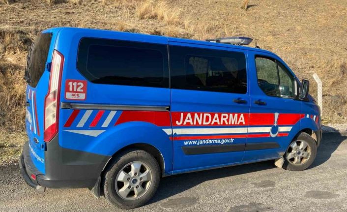 Kuyucak’ta köpek dövüşüne jandarma baskını: 3’ü organizatör, 52 şahıs yakalandı