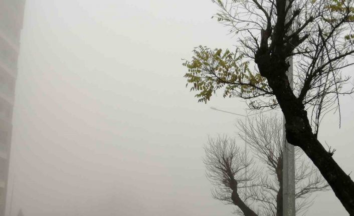 Manisa’da yoğun sis etkili oluyor