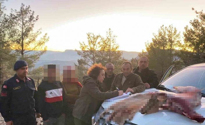Mersin’de yaban keçisi avlayan 2 şahsa 673 bin TL ceza kesildi