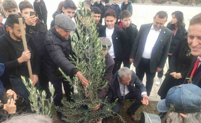 Meslek lisesinin 63. yaşında 63 adet zeytin ağacı sonsuzluğa kök saldı