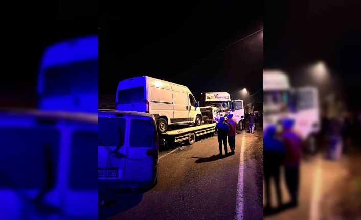 Milyonluk yarış atlarını taşıyan tır, çekici ile çarpıştı