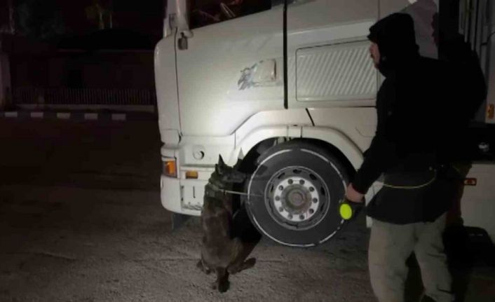 Montundan kokain çıktı, "Komşumun" dedi