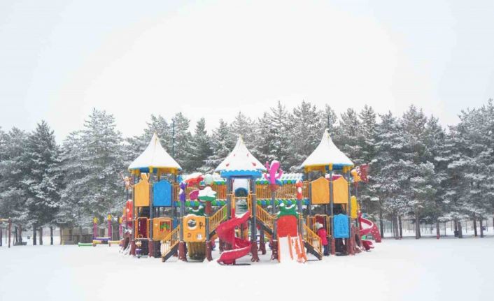 Muş’ta kar yağışı: 15 köy yolu ulaşıma kapandı