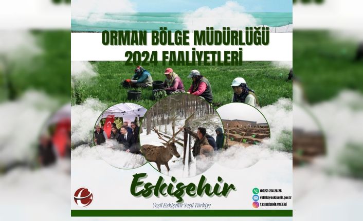 Orman Bölge Müdürlüğü orman yangınlarıyla mücadele çalışmalarını sürdürüyor