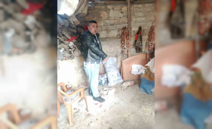 Pazara giden çobanın ağılına giren sokak köpekleri 2 kuzuyu parçaladı