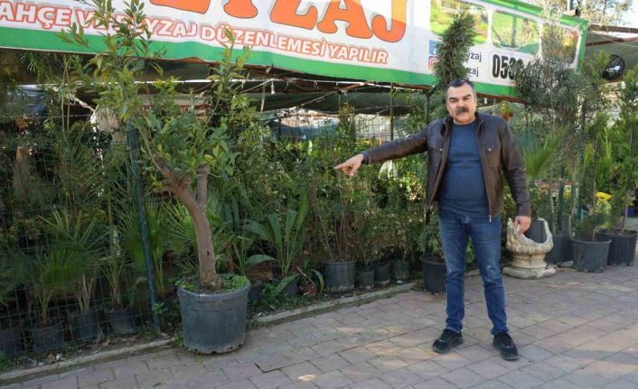 Peyzajcıdan dinlene dinlene bitkileri çaldı