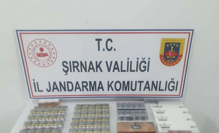 Şırnak’ta jandarma ekiplerinden kaçakçılık operasyonu: 1 tutuklama