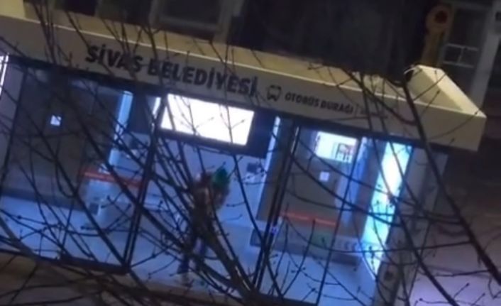 Sivas’ta duyarlı vatandaş takdir topladı, başkaları kırıp dökerken o temizledi