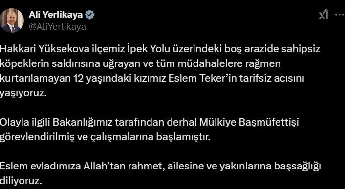 Sokak köpeklerinin öldürdüğü Eslem için Mülkiye Başmüfettişi görevlendirildi