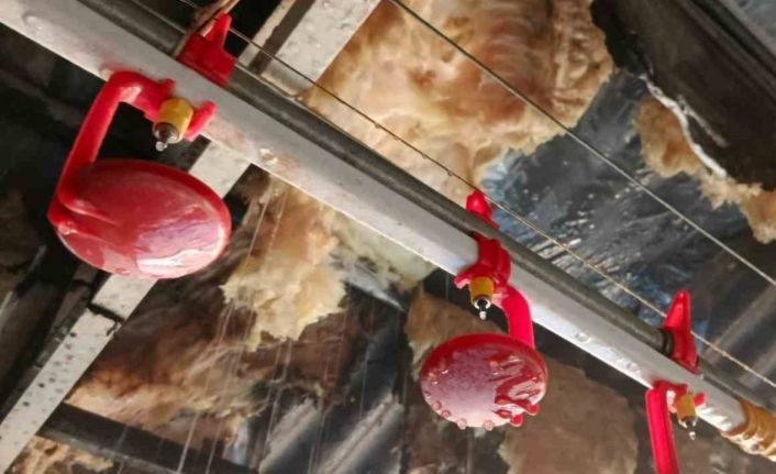 Tavuk çiftliğinde çıkan yangın itfaiyenin müdahalesiyle söndürüldü