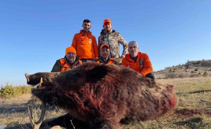 Tekirdağ’da avlanan 250 kiloluk yaban domuzu büyüklüğüyle şaşırttı