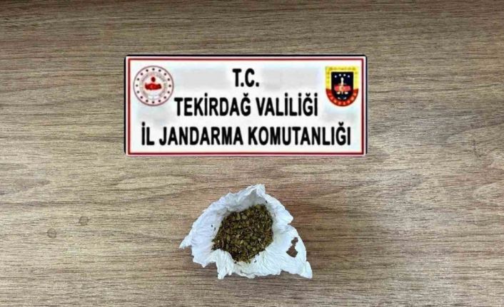Tekirdağ’da uyuşturucu ve silah operasyonları