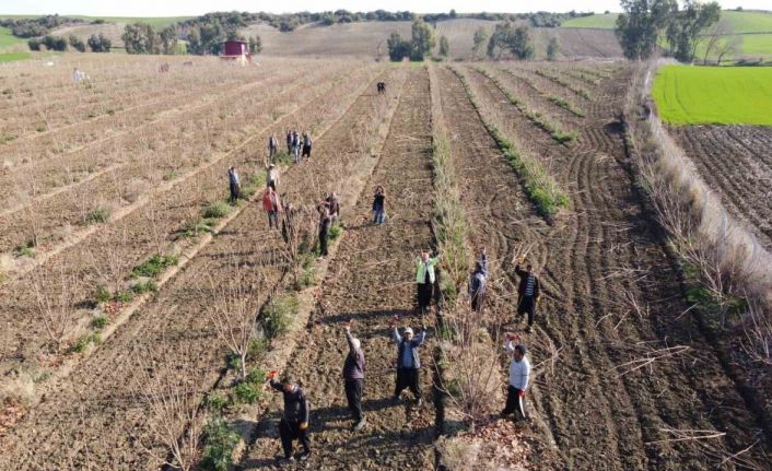 Teknoloji nasırlı ellere deva oldu