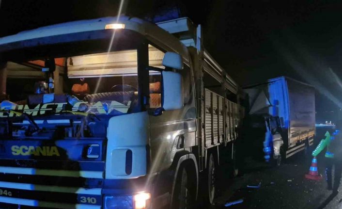 TEM’de arıza yapan kamyonu emniyet şeridine park etti, kamyon çarptı: 1 yaralı