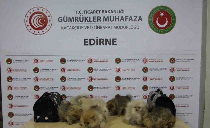 Ticaret Bakanlığı yasa dışı ticarete engel oldu