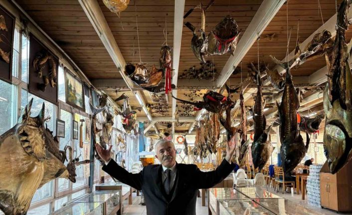 Türkiye Deniz Canlıları Müzesi yarıyıl tatilinde öğrencileri bekliyor