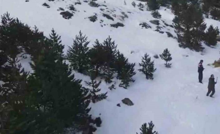 Yaban hayvanları unutulmadı