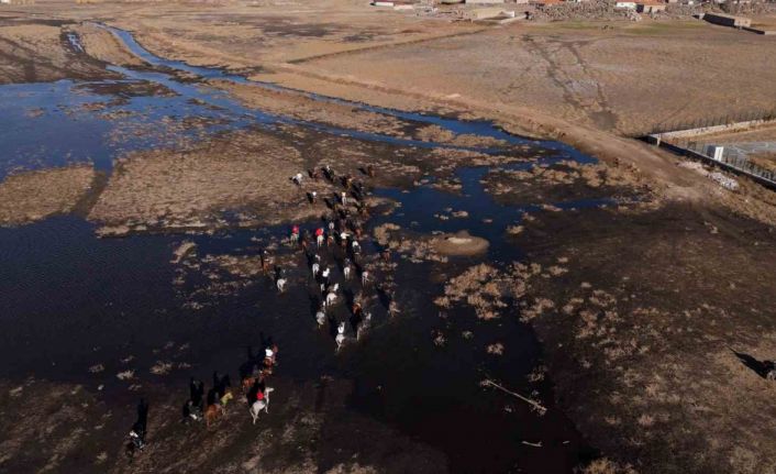 Yılkı atları diyarı Hürmetçi’de atlı safari