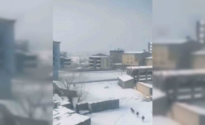 Yüksekova’da başıboş köpeklerin öğrencilere saldırı anı böyle görüntülendi