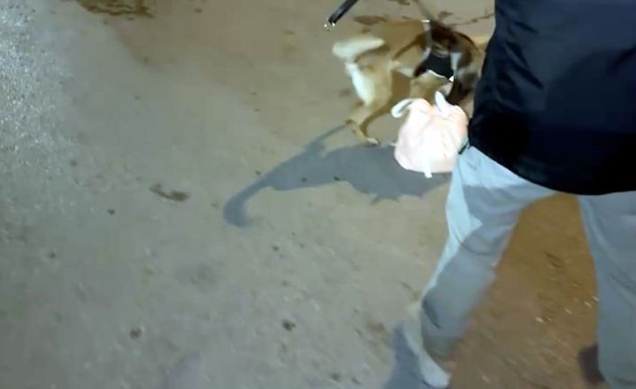 Zehir taciri Eta’dan kaçamadı