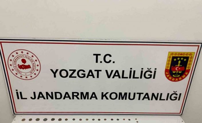 60 parça tarihi eseri kaçıran şahıs yakalandı
