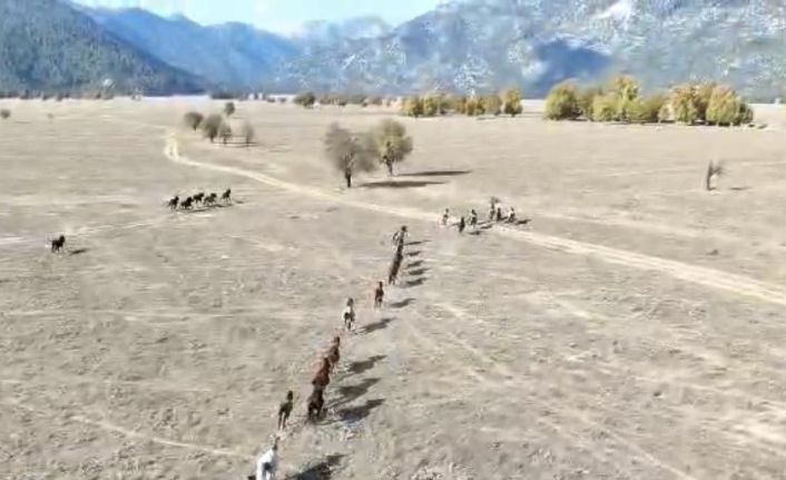 90 bin dönüm ovanın sahipleri hiç bu kadar kalabalık görülmedi