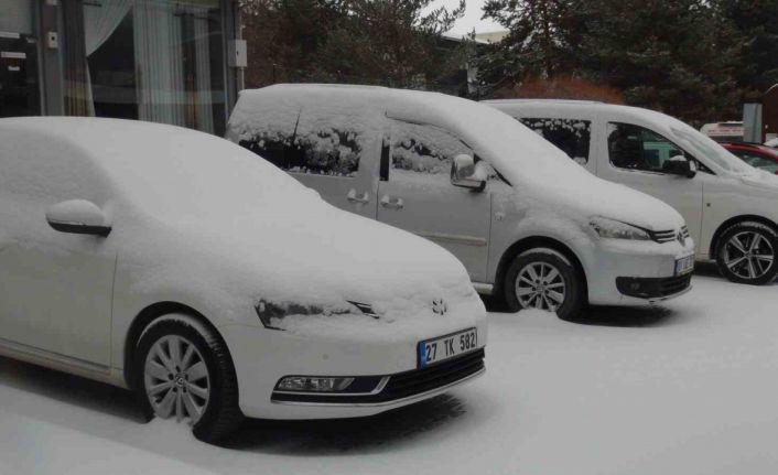Ahlat’ta kar yağışı, 8 köy yolu ulaşıma kapandı