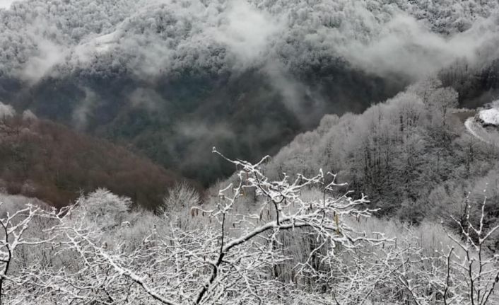 Alaplı’nın Gümeli köyüne mevsimin ilk karı düştü