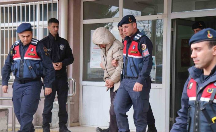 Annesini öldüren şahıs tutuklandı