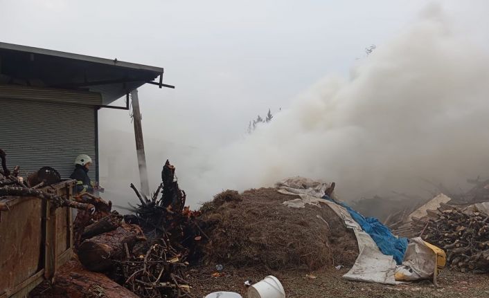 Antakya’da odunluk yangını