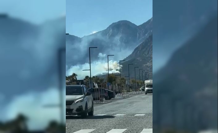 Antalya’da orman yangını