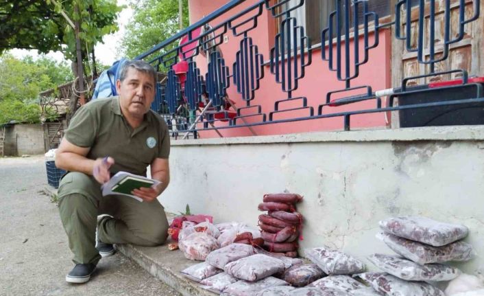 Antalya’da yasa dışı avlanan 48 kilo yaban keçisi ve kızıl geyik eti buzdolabında bulundu