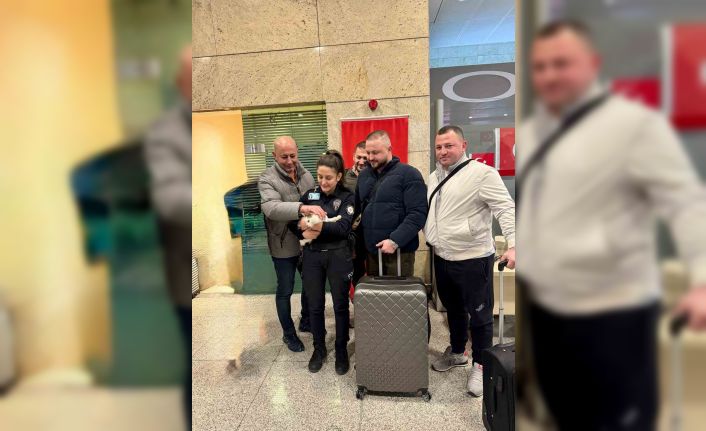 Araçta kilitli bırakılan kediyi polisler kurtardı