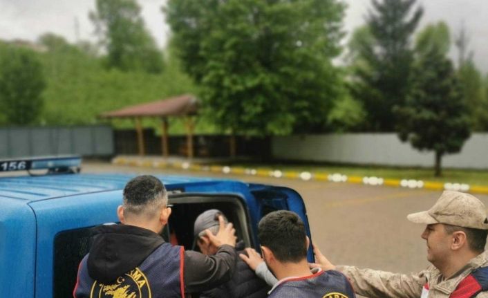 Aranan 4 hükümlü, jandarma ekiplerince yakalandı