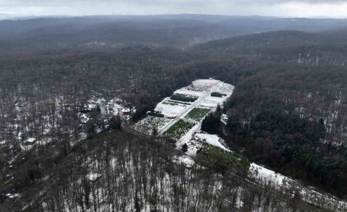 Belgrat Ormanı beyaza büründü, hayran bırakan kar manzarası havadan görüntülendi