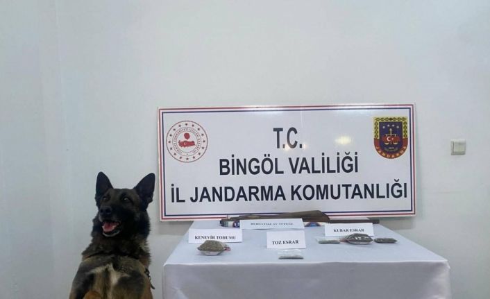 Bingöl’de uyuşturucu madde ve 3 adet tüfekle ele geçirildi