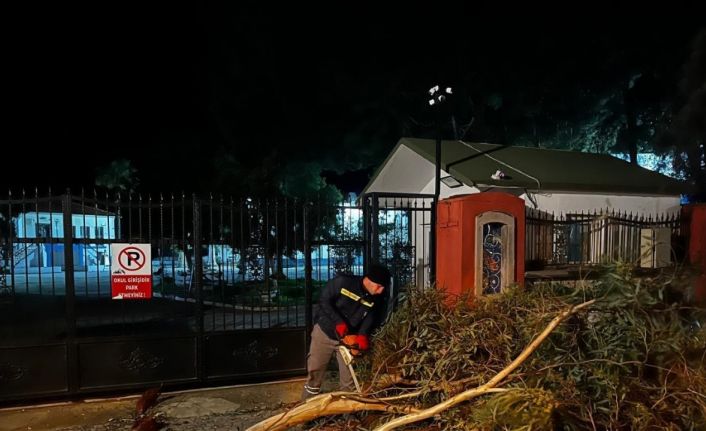 Bodrum’da belediye ekipleri olumsuzluklara karşı nöbette