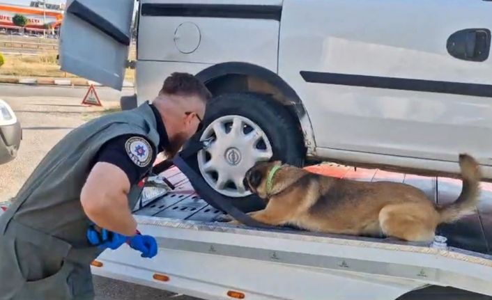Bolu’da 9 uyuşturucu operasyonu: 11 gözaltı