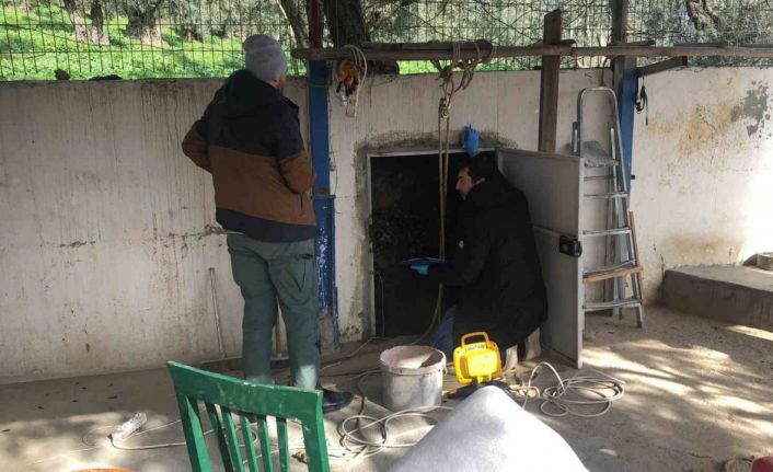 Bursa’da kaçak kazı operasyonu