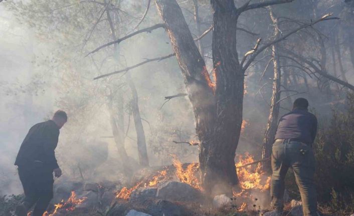 Büyükşehir itfaiyesinden orman yangınına müdahale desteği