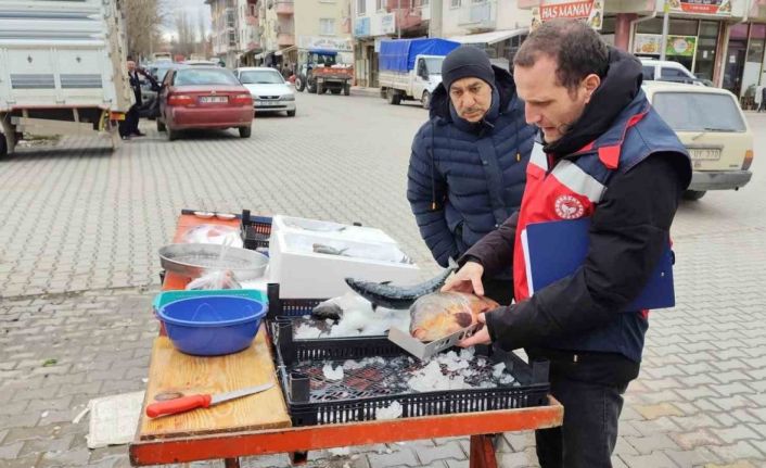 Çavdarhisar’da balık satış yeri denetimleri