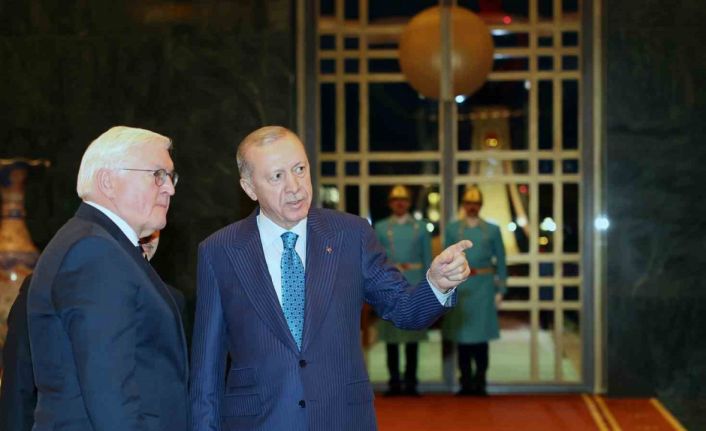Cumhurbaşkanı Erdoğan, Almanya Cumhurbaşkanı Steinmeier ile görüştü
