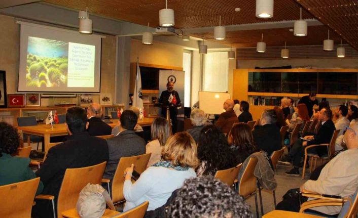 Deniz çayırları tehlikede