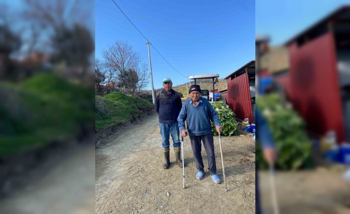 Denizli Büyükşehir, Buldanlı süt üreticilerinin yol sorununu çözdü