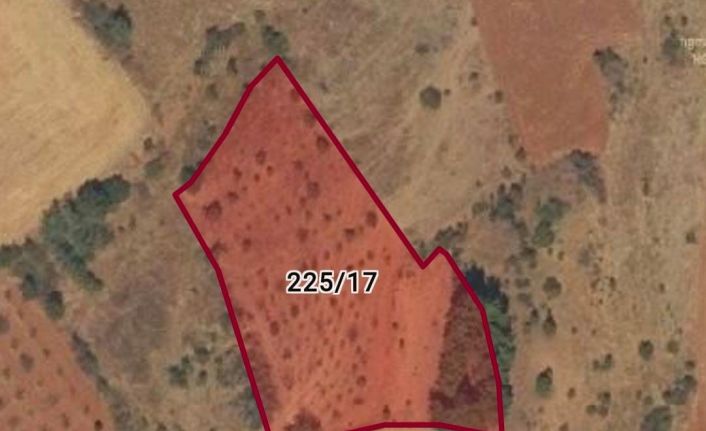 Denizli’de 9 yıldır sit alanı olarak koruma altına alınan arazide mülk sahibinin ağaç kesme başvurusu ile gerçek ortaya çıktı