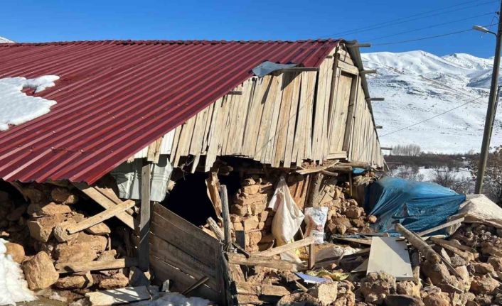 Depremzede yetiştiricilere faizsiz ahır kredisi desteği