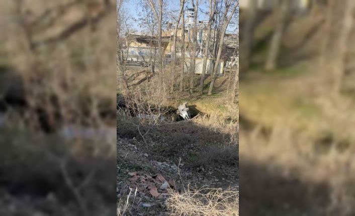 Dereye uçan otomobilin sürücüsü yaralandı