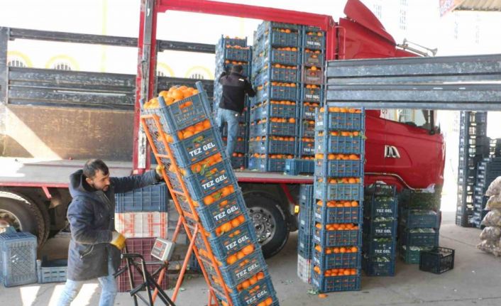 Diyarbakır’da soğuk hava sebze ve meyve fiyatlarını etkiledi